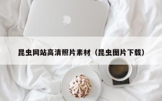 宣城昆虫网站高清照片素材（昆虫图片下载）
